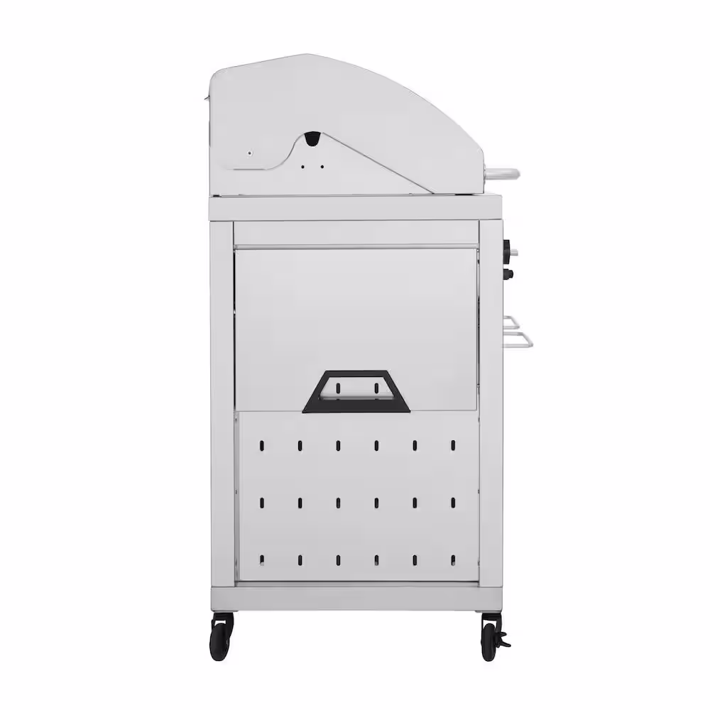Fuego Premium 2-Burner Propane Gas Grill in Stainless Steel