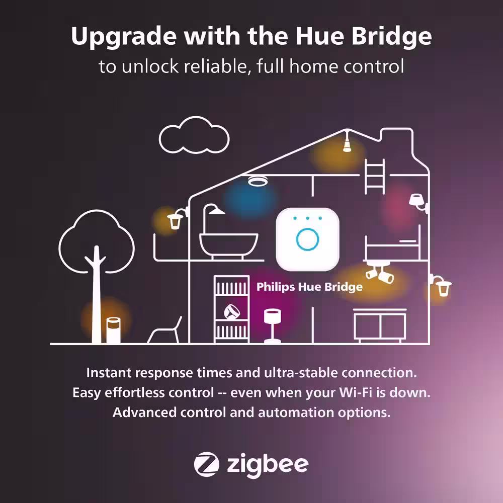 Philips Hue 6.6 ft. Low Voltage LED Smart Outdoor Color Changing Light Strip (1-Pack)