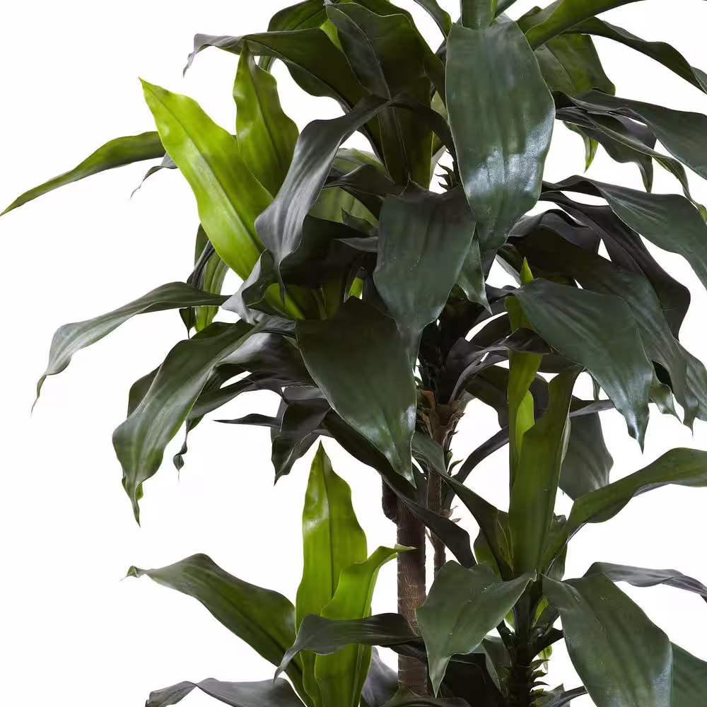 Nearly Natural 5 ft. Artificial Indoor/Outdoor UV Resistant Dracaena Plant