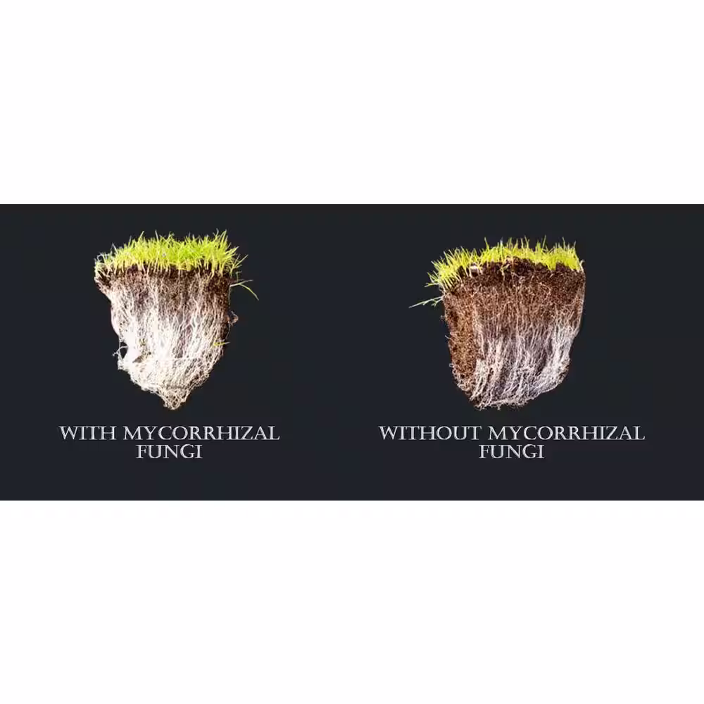 None 6 lbs. Makes 24 lbs. Organic Worm Castings, 100% Pure, Concentrated Strength Soil Amendment, Endo and Ecto Mycorrhizae
