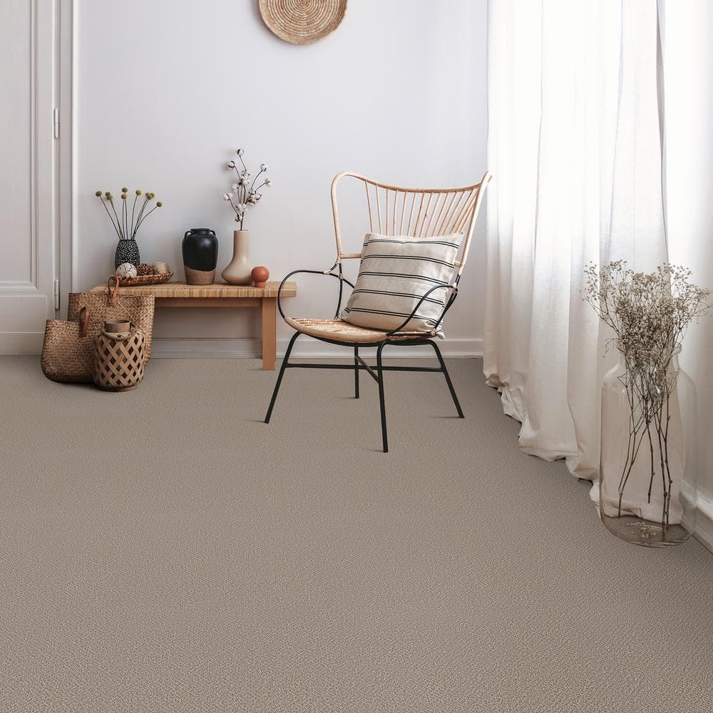 Home Decorators Collection Clareview - Eastglen - Gray 12 ft. 46 oz. SD Polyester Texture Full Roll Carpet (1080 sq. ft./Roll)