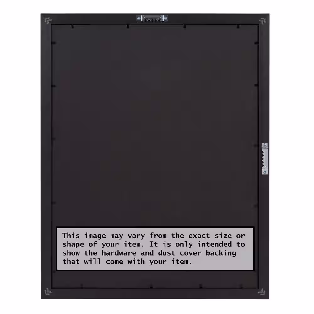 Amanti Art Eva Black Silver Narrow Picture Frame Opening Size 24 x 36 in.