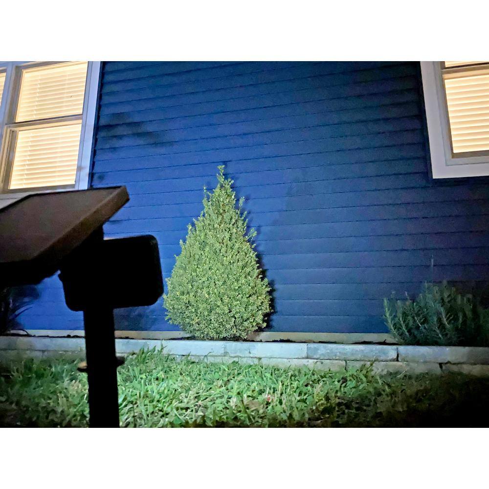 Nitelighter Solar Powered Black LED Dusk to Dawn Landscape or Path Light, Cool White (2-Pack)