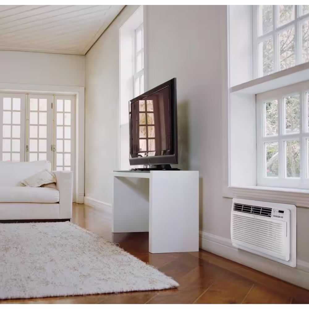 LG 11,200 BTU 230-Volt Through-the-Wall Air Conditioner with Heat and Remote